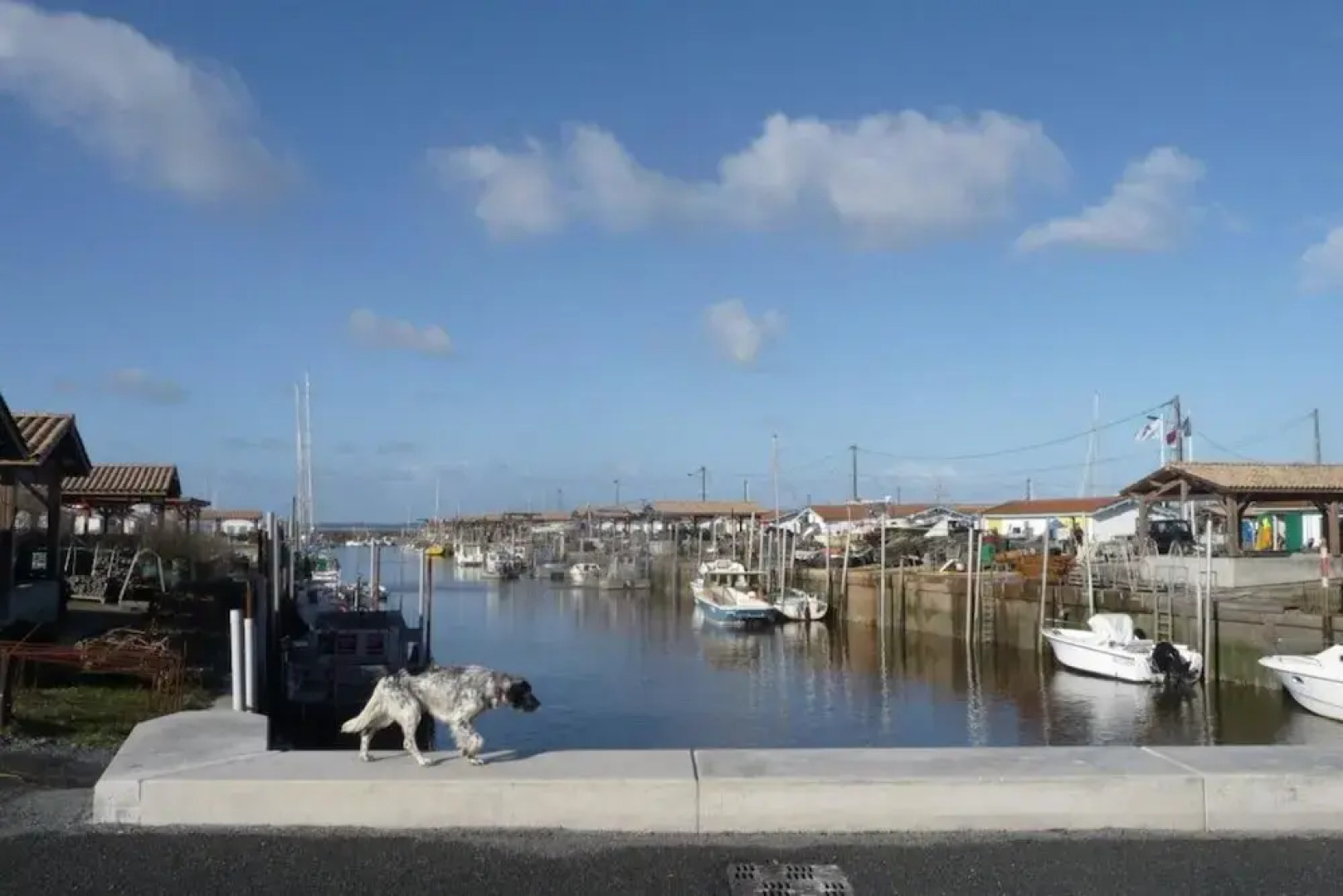 Villa avec jardin avec accès direct à la plage à 50m