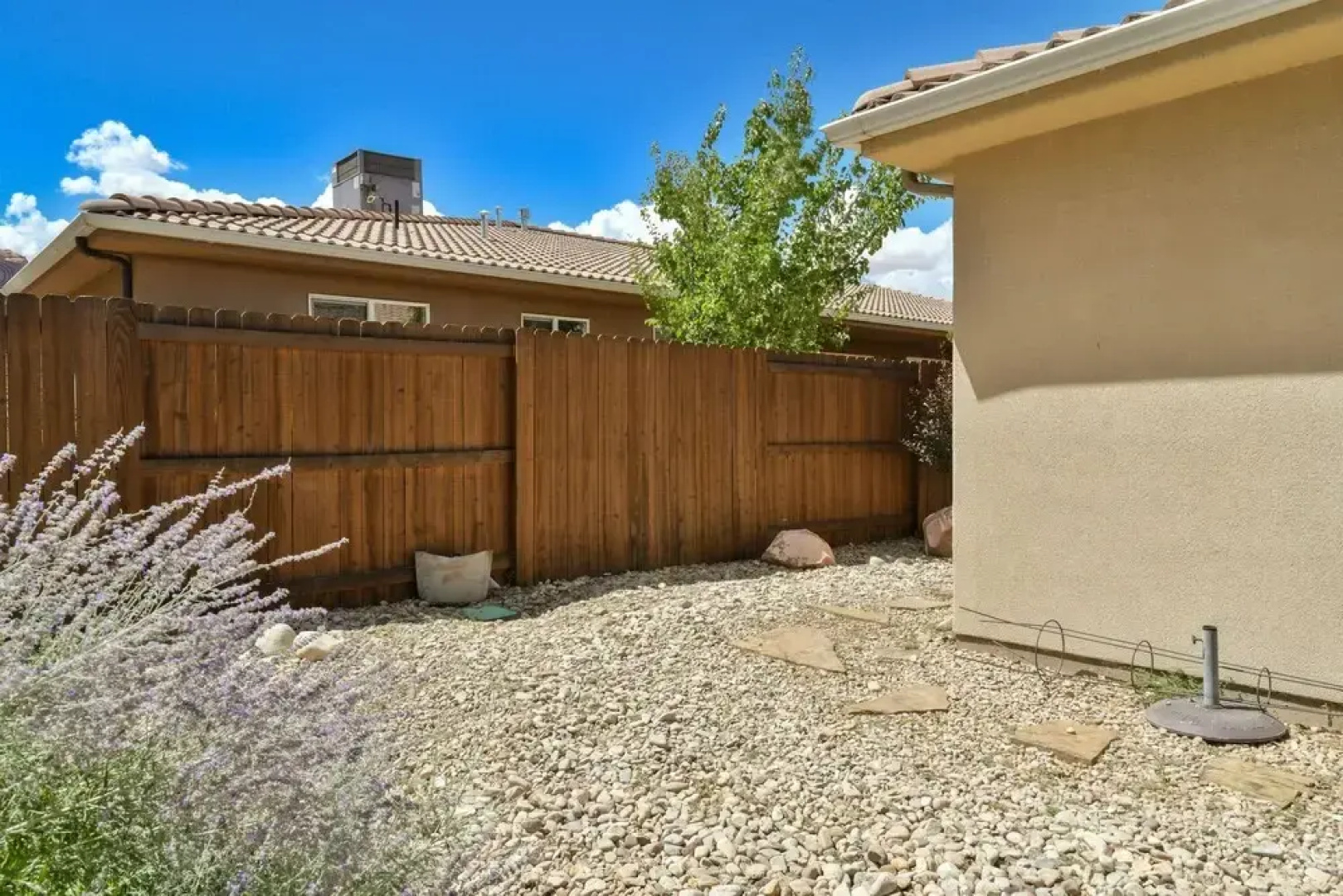 Cottonwoods 469