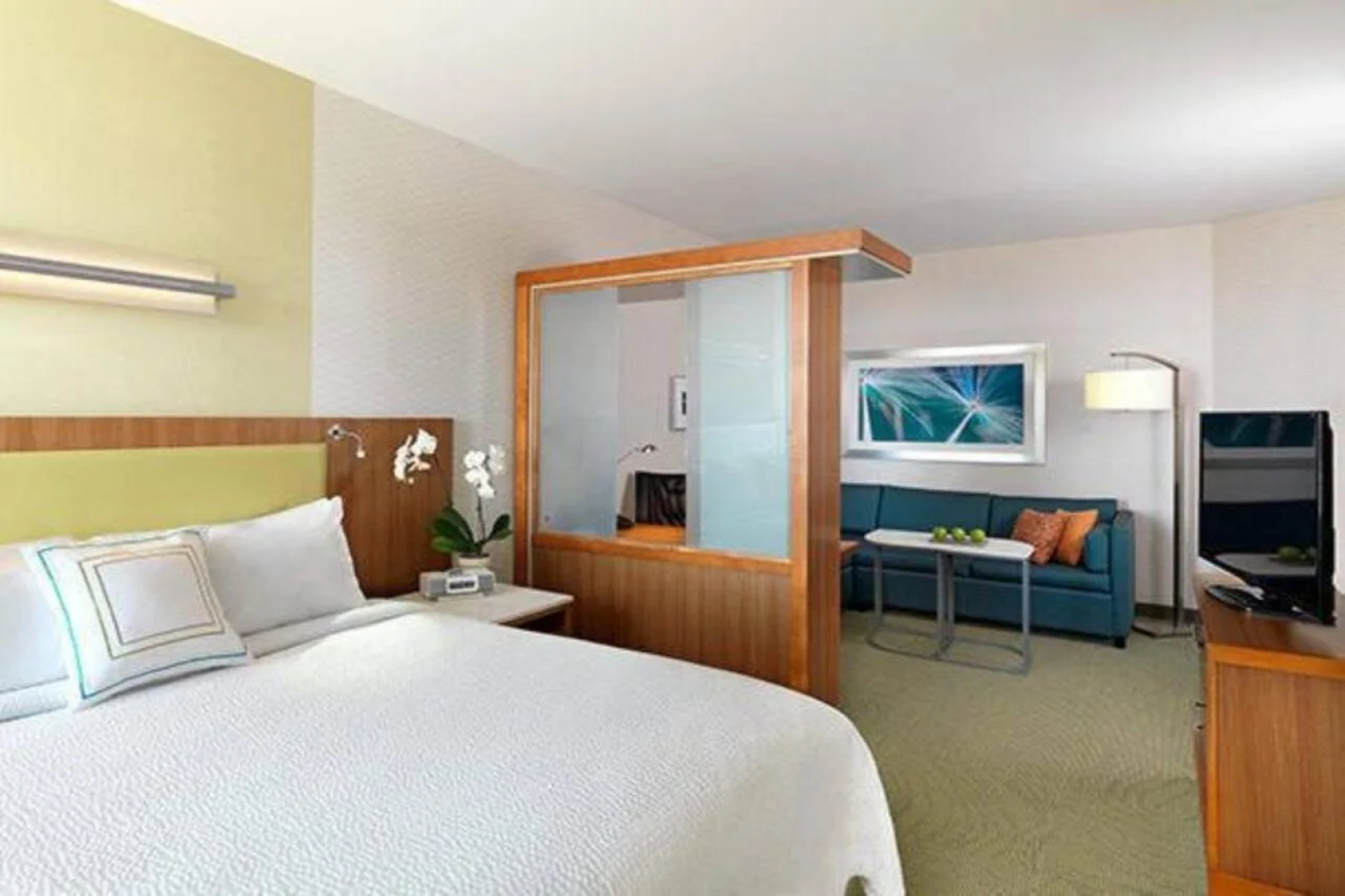 SpringHill Suites Raleigh Cary