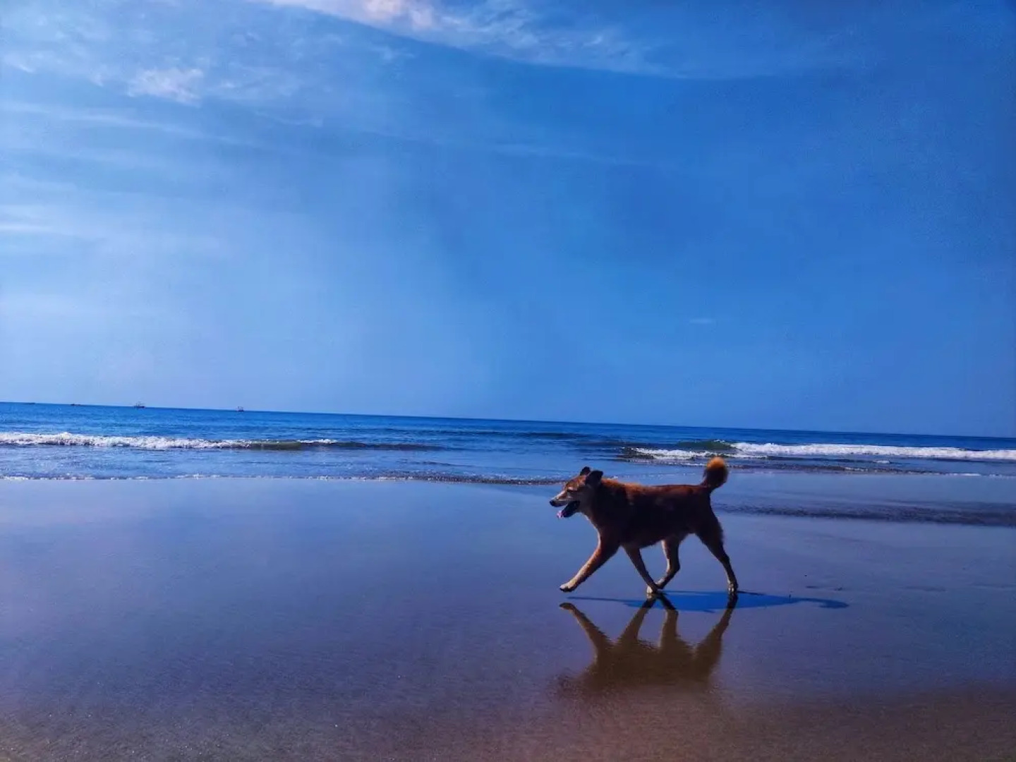 Rootsvilla Hostel Goa