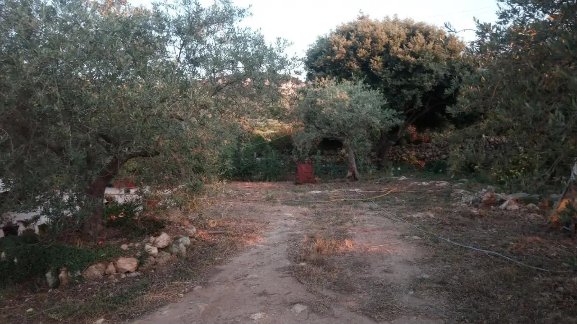 Residence degli ulivi