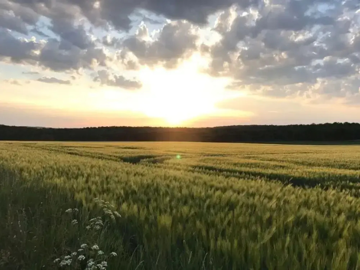 Majestic Apartment in Brakel