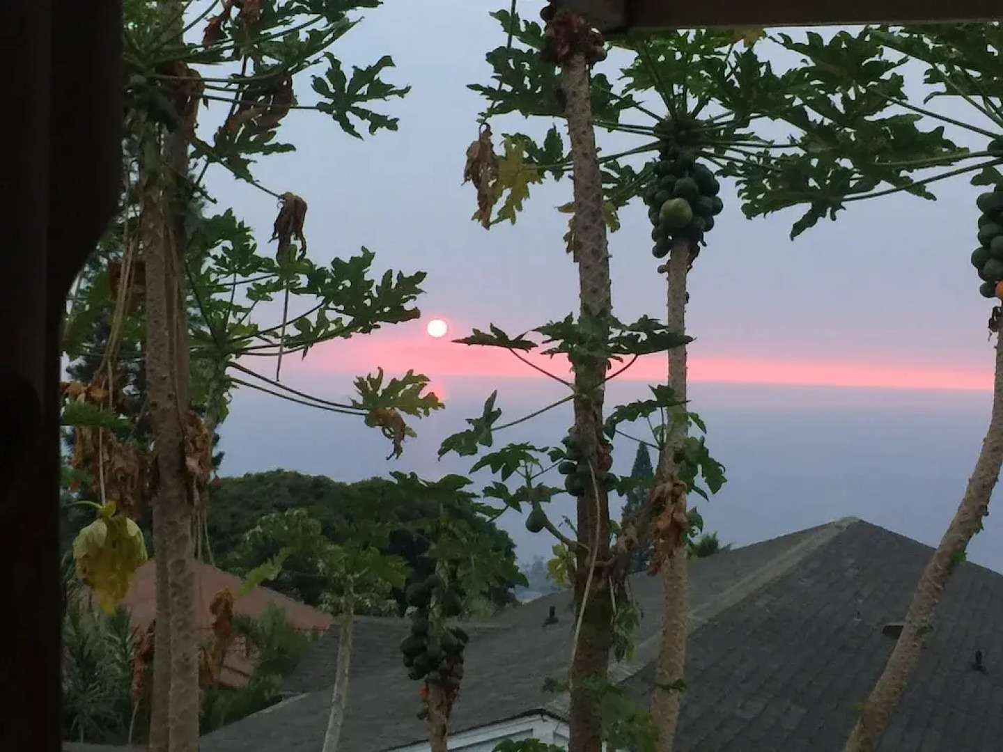 Kona Hawaii Guesthouse