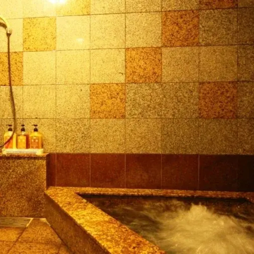 Iwasu Onsen Ryokan Iwasuso
