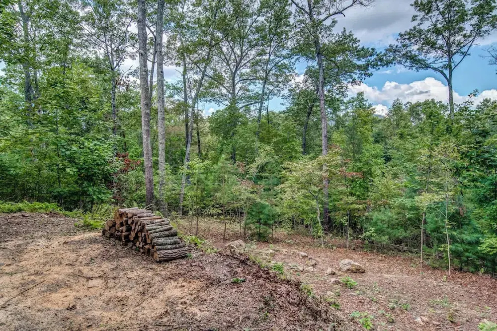 Gorgeous & Secluded 3 BDR Cabin in Mineral Bluff!