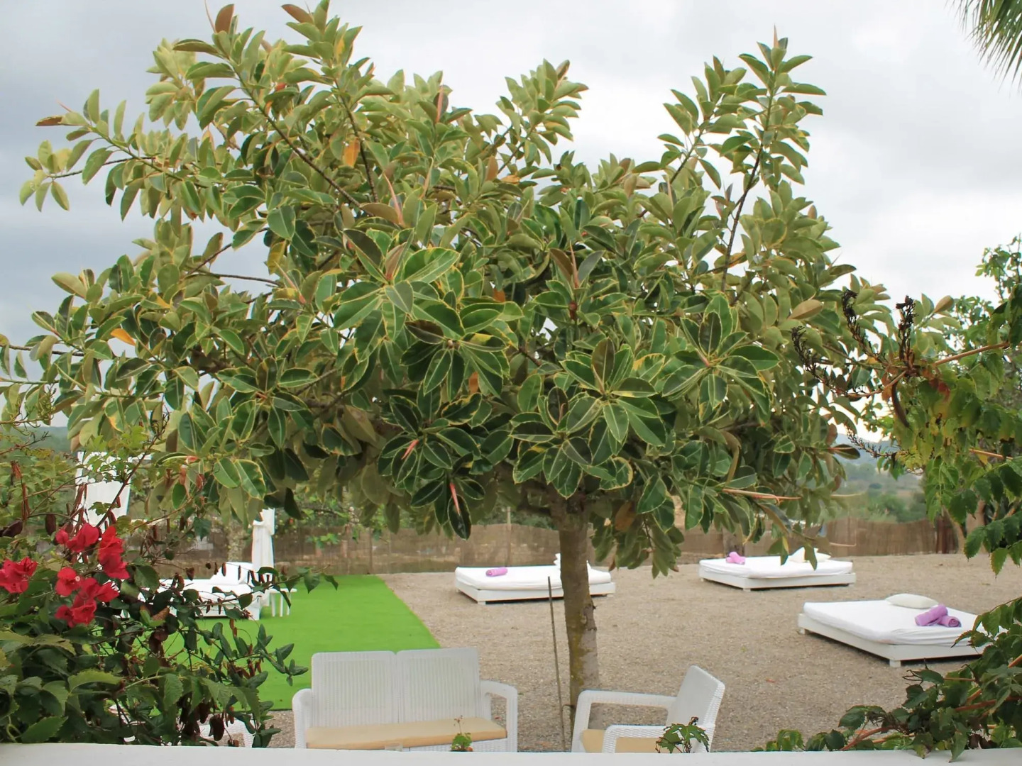 Agroturismo Can Cosmi Prats