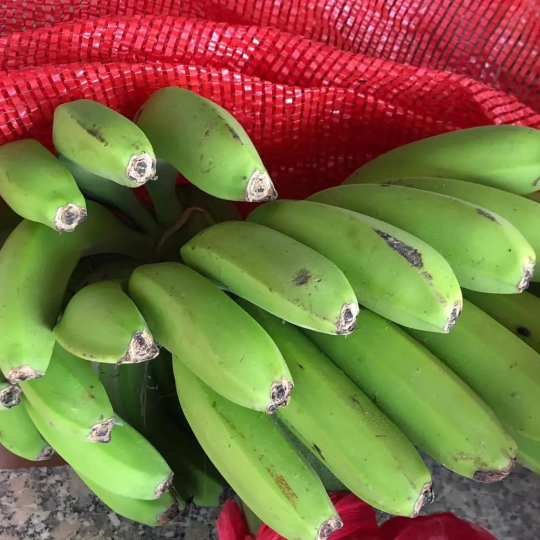 Taghazout bay Tamraght appartement