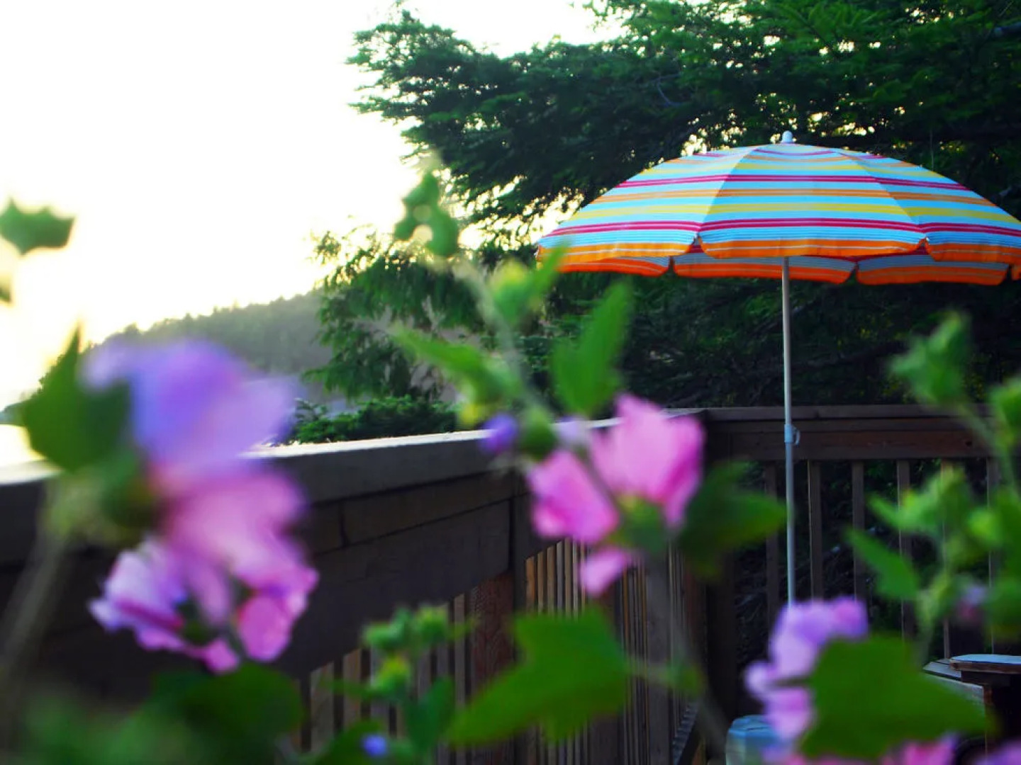 Stillwater Beach House Bed & Breakfast