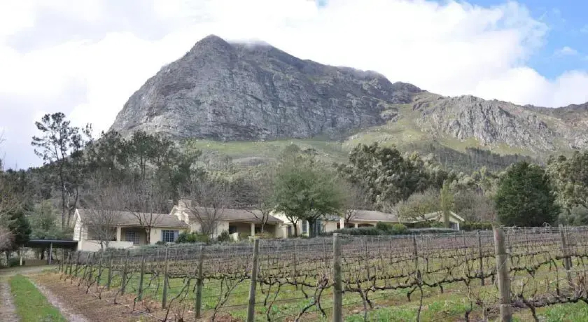 Blueberry Hill Cottages