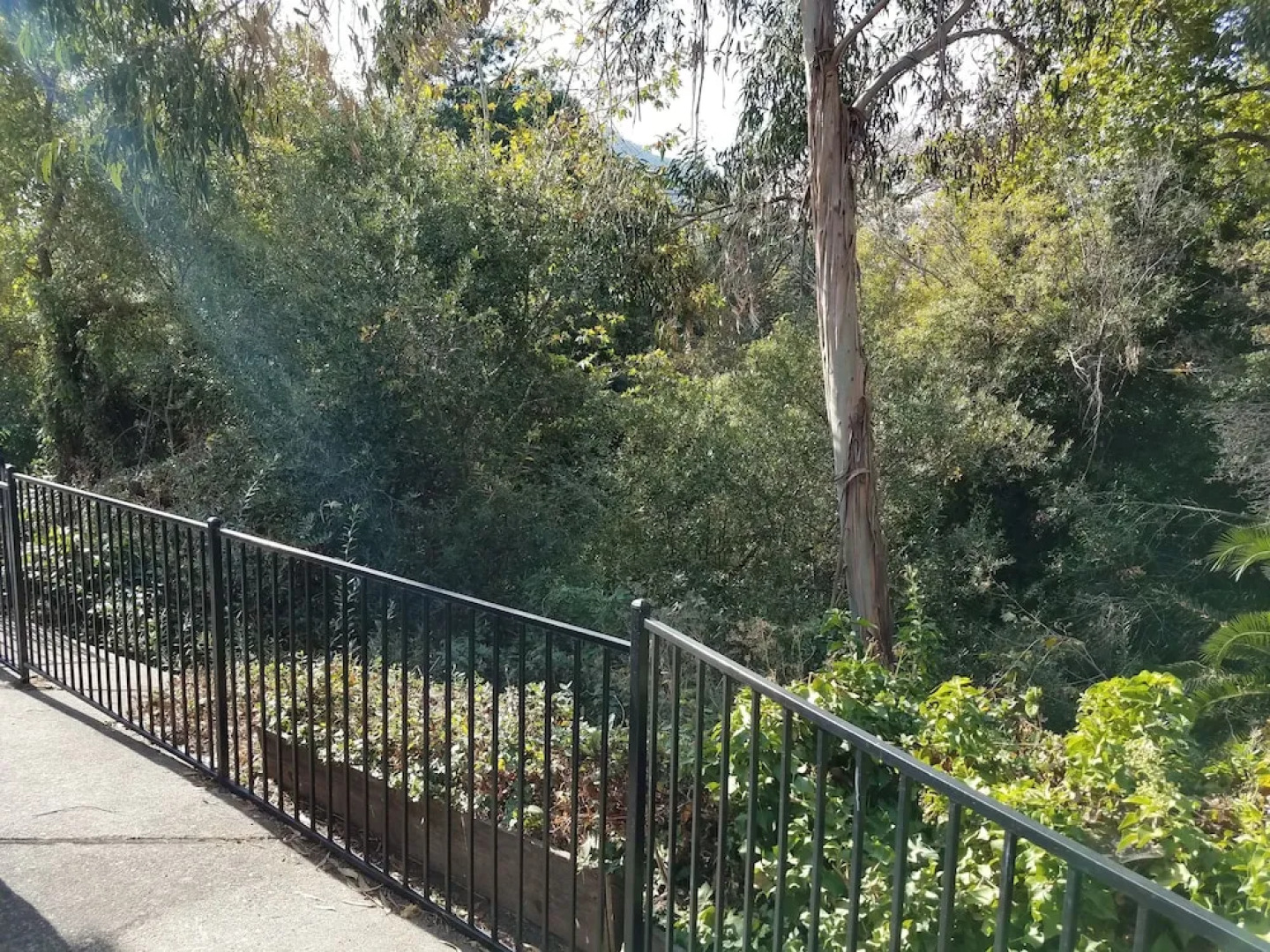 Ramada Inn Olive Tree