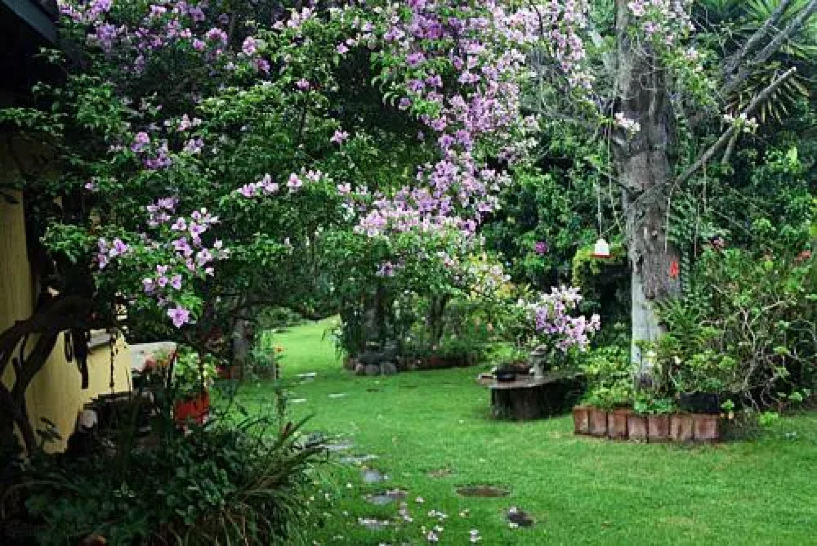 Hostal Saint Mary´s Tababela