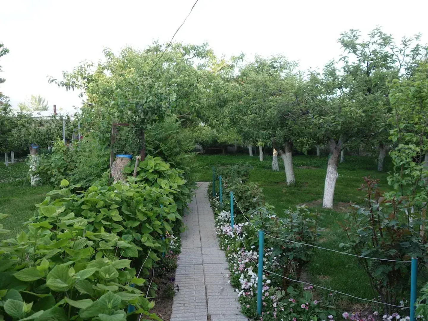 Guest House Moryachka