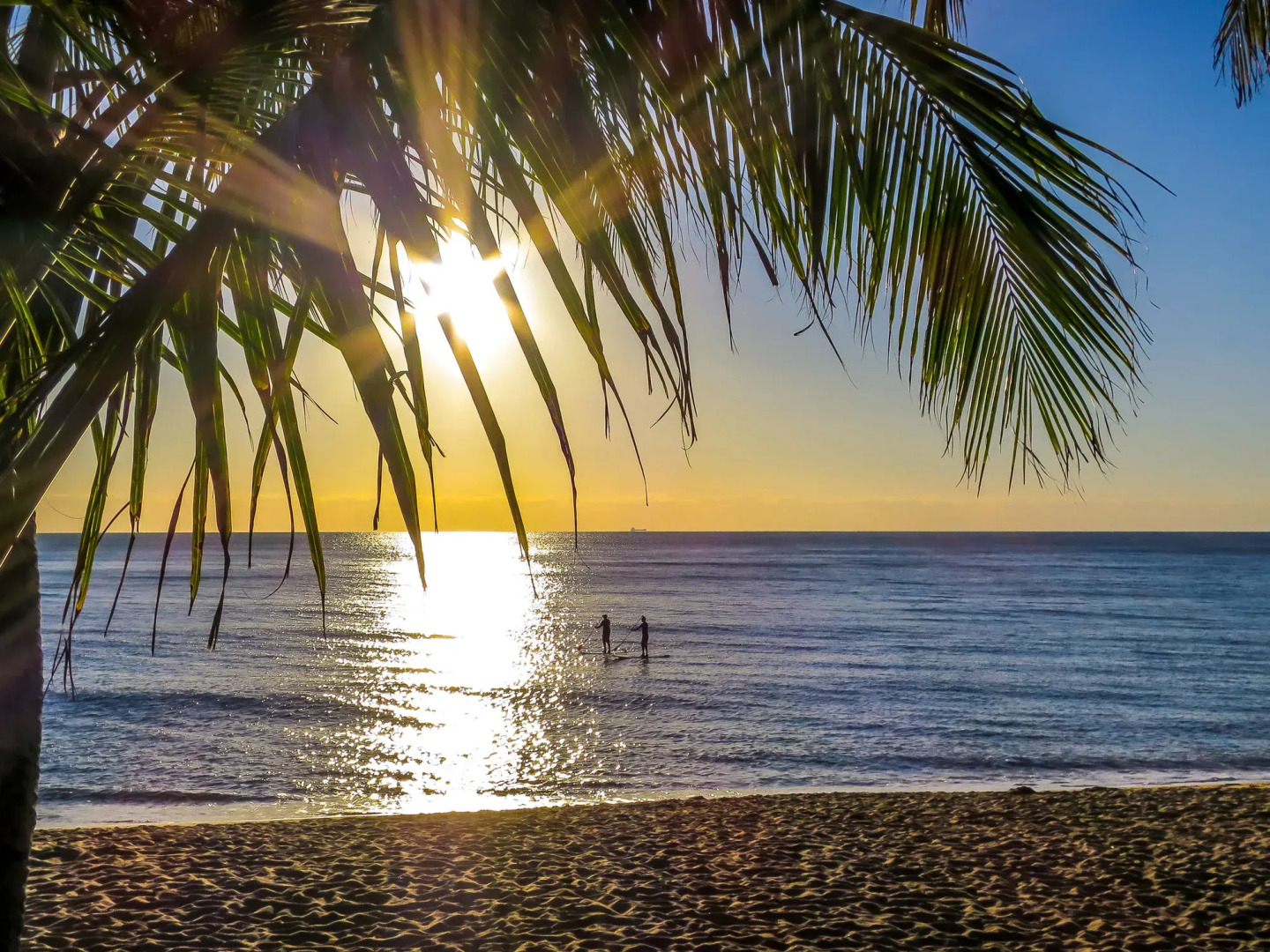 Roydon Beachfront Apartments