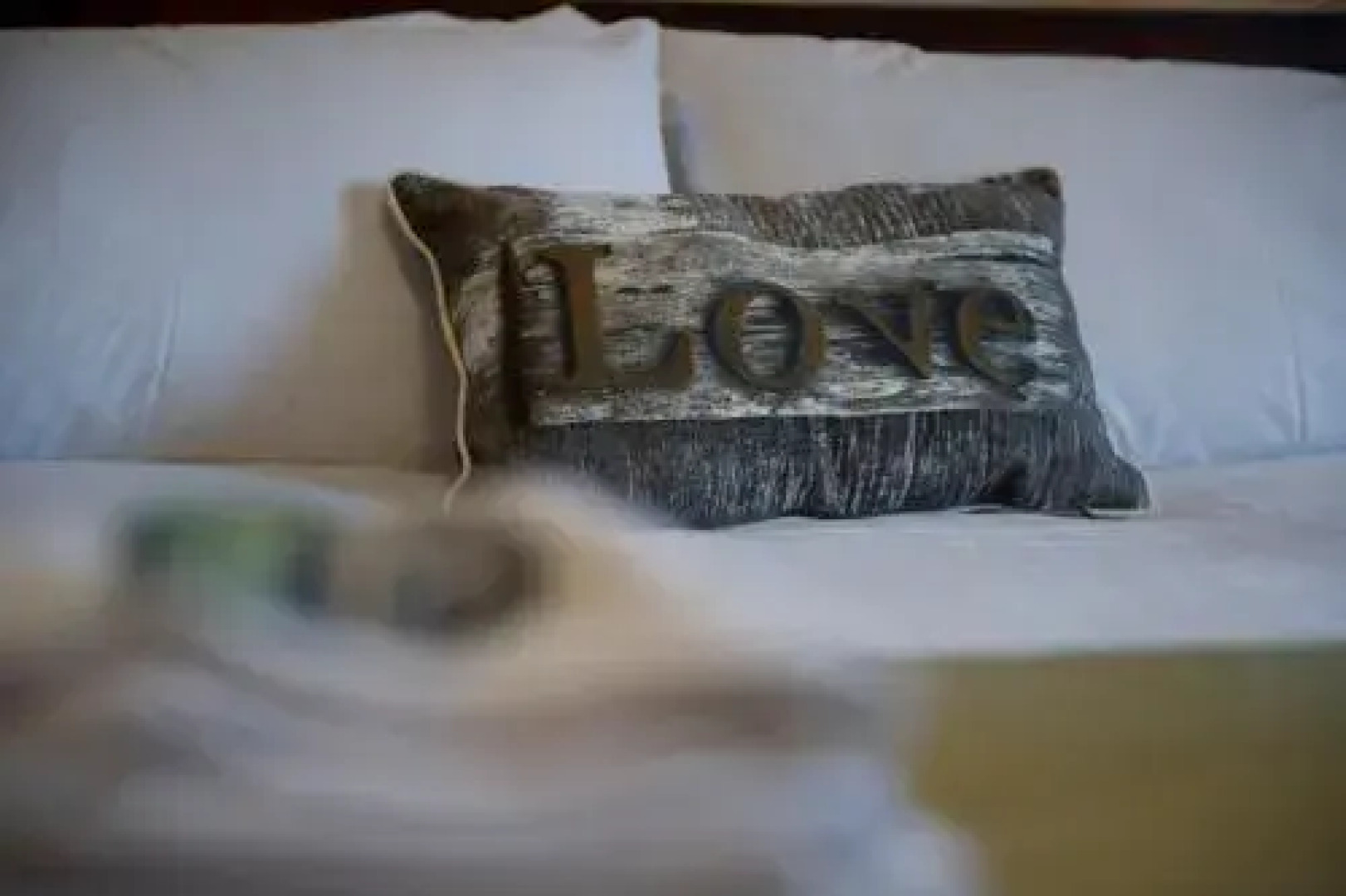 Springfield Guest House