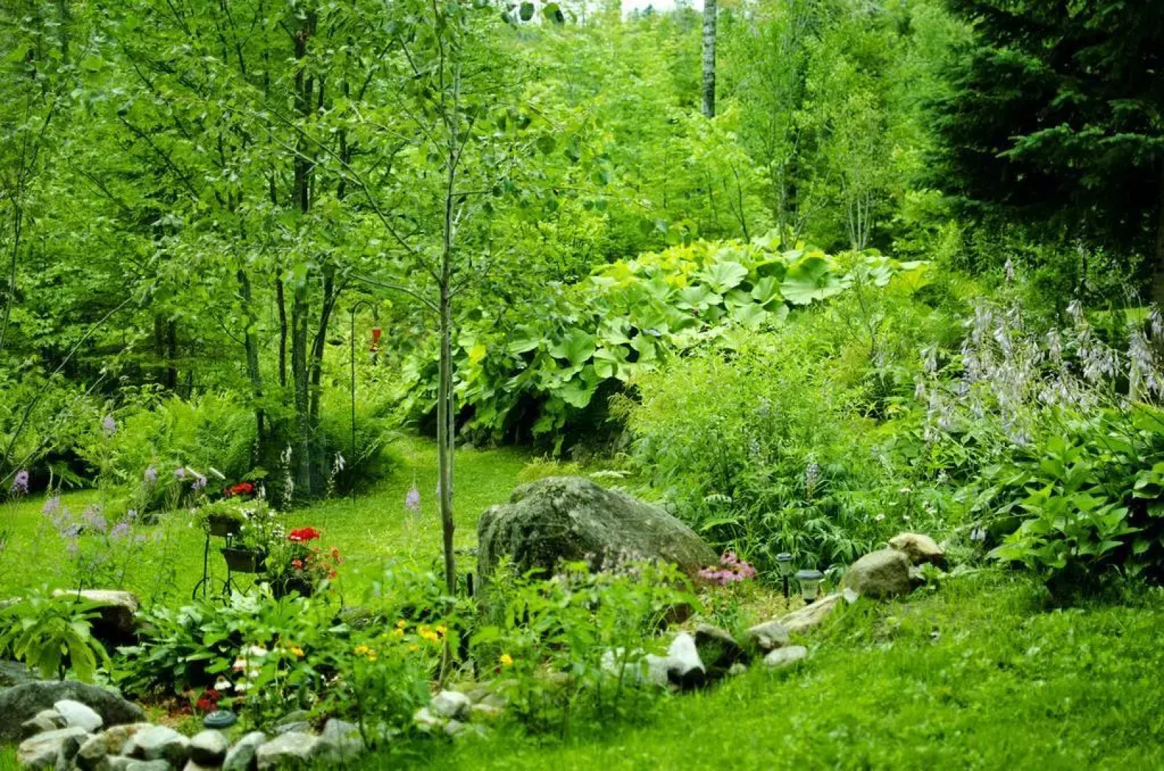 Les Terrasses du Lac