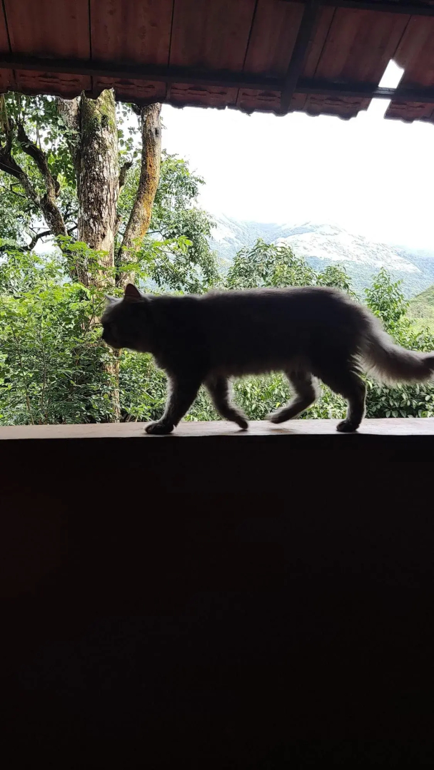 Planet Green Plantation Resorts, Wayanad, Kerala