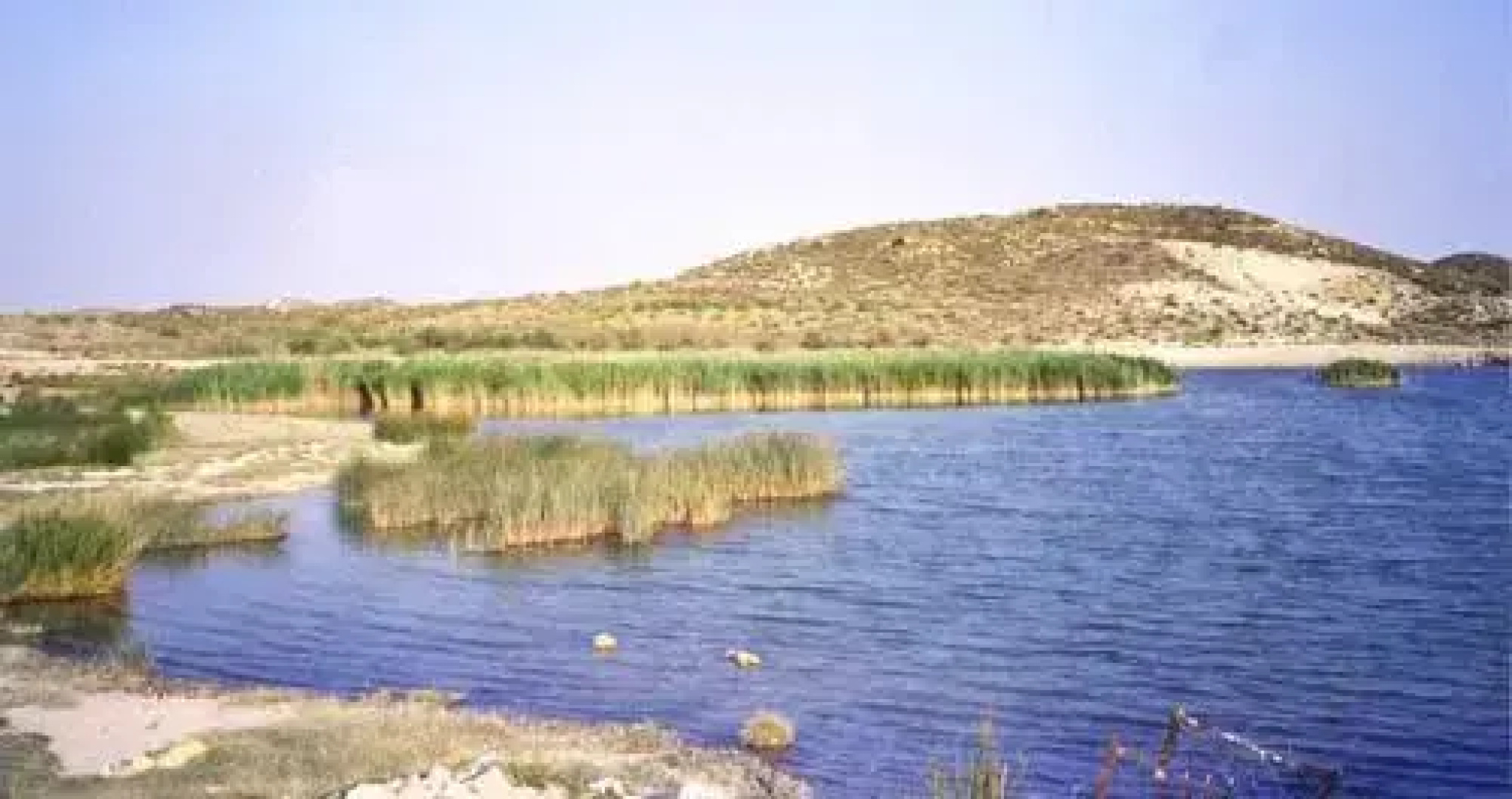 Alcanadre