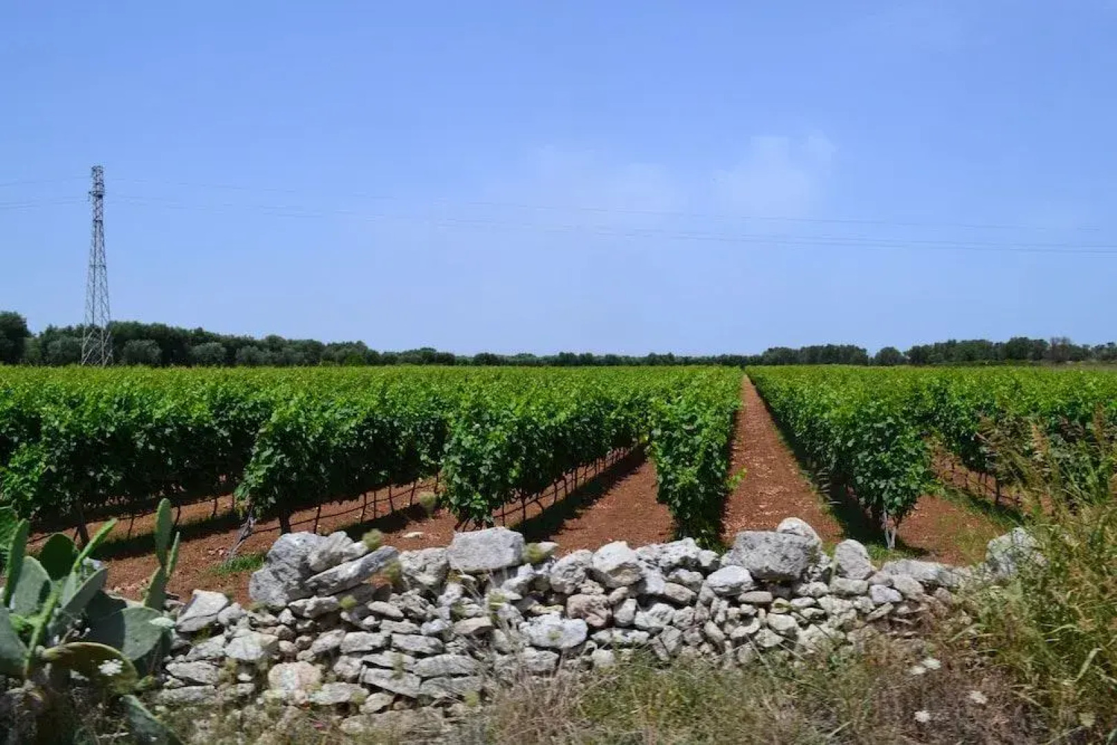 Salento Guesthouse B&B