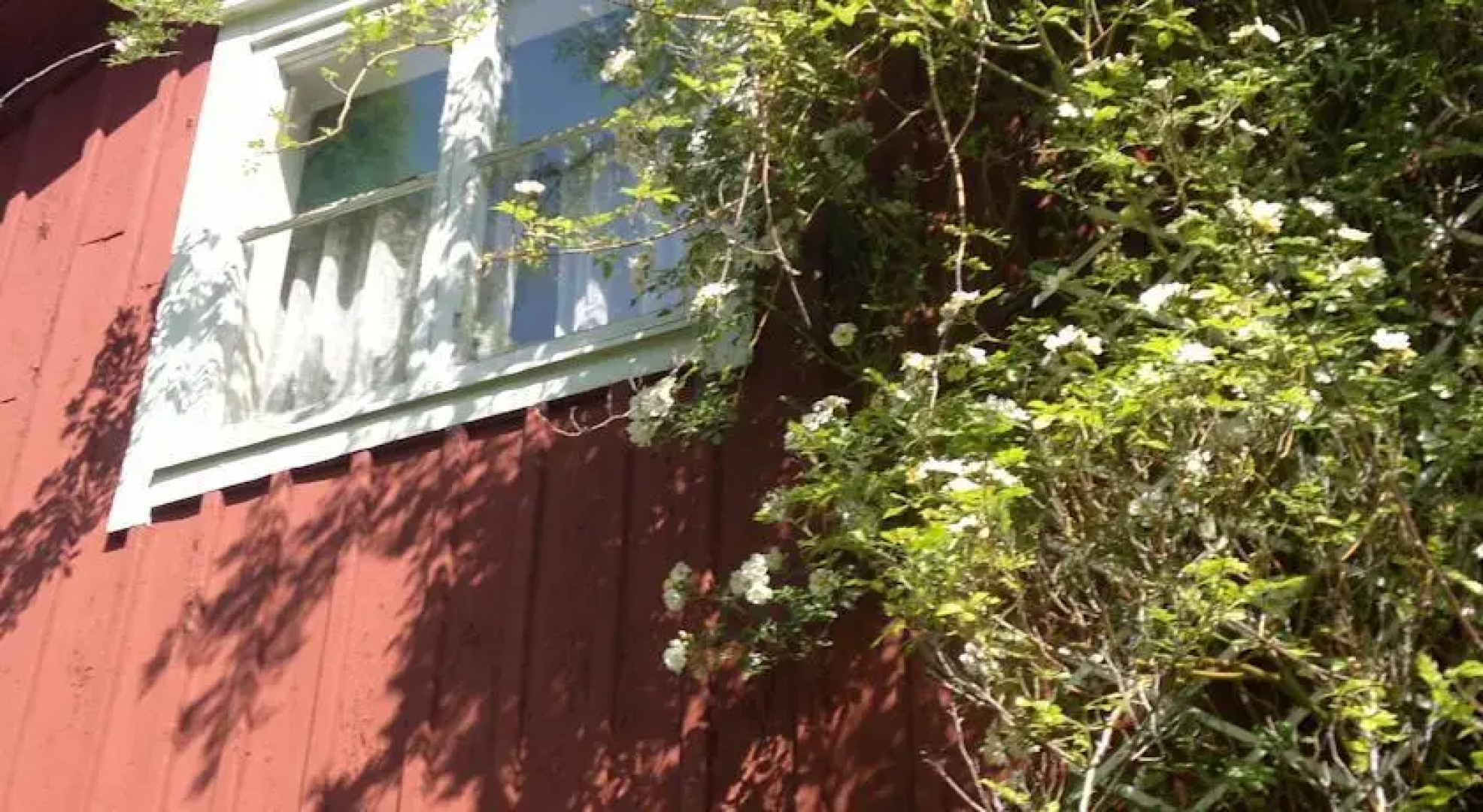 Kylås Cottage