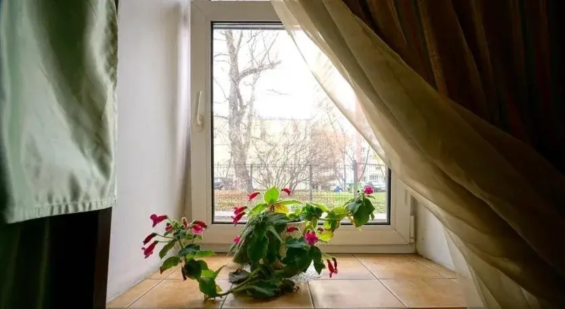SvetLend Hostel