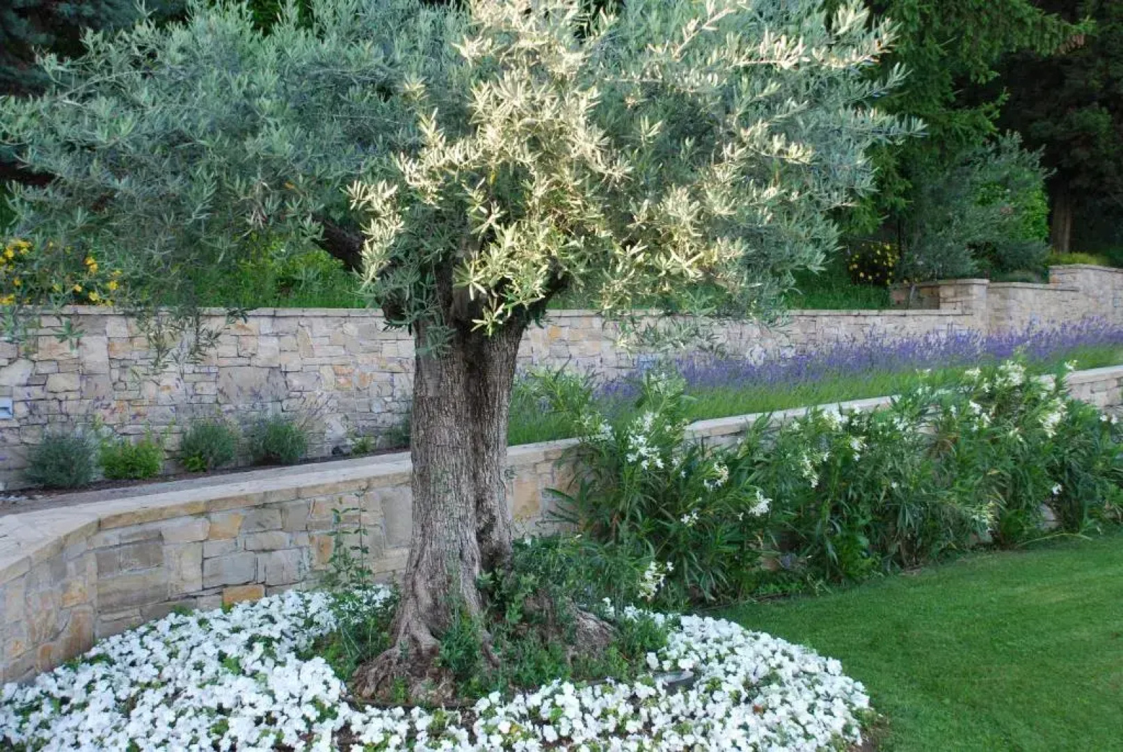 Villa Luna Stunning Modern Villa Shared Infinity Pool, Big garden, Fantastic lake view,AC,