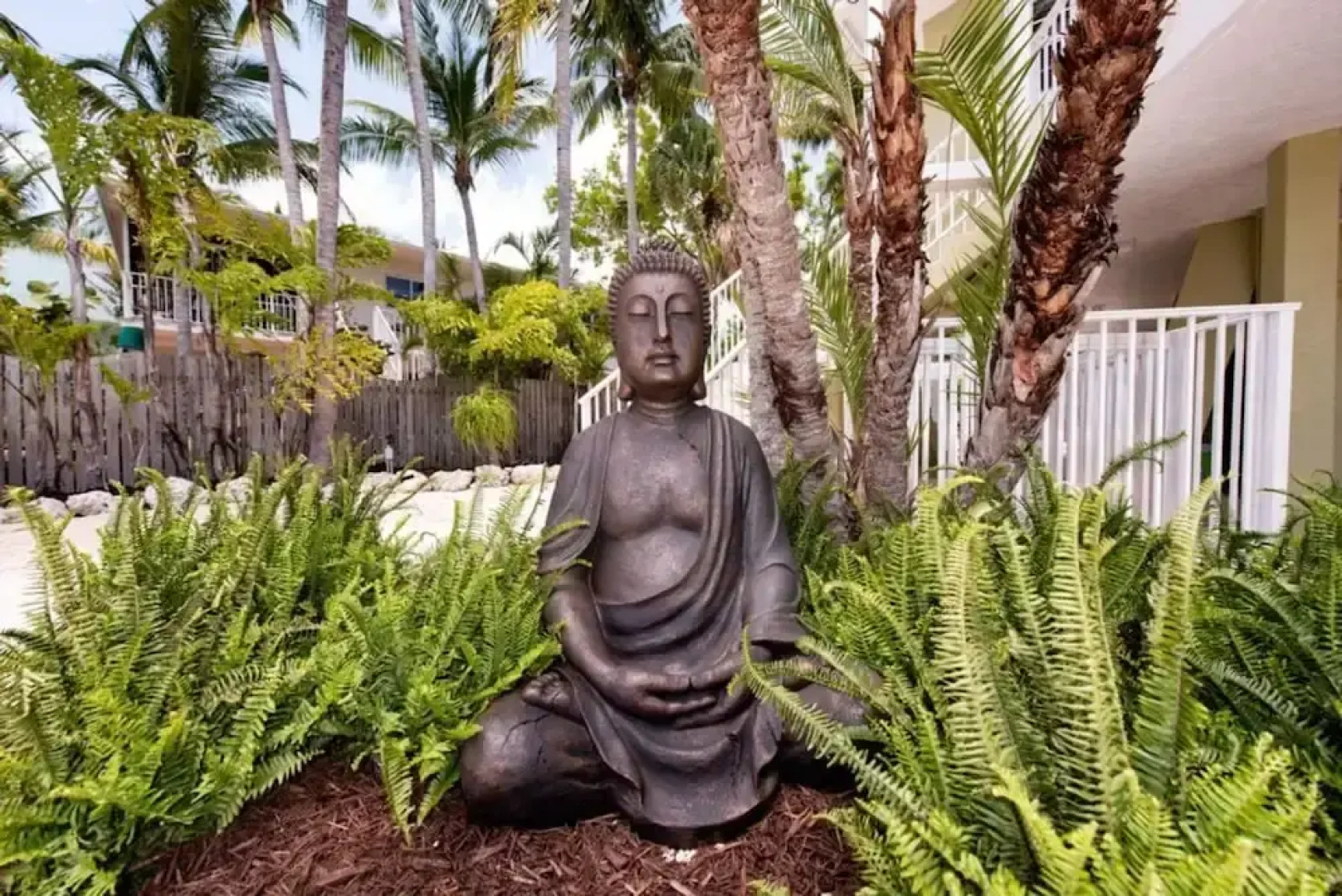 Lime Key in Key Largo