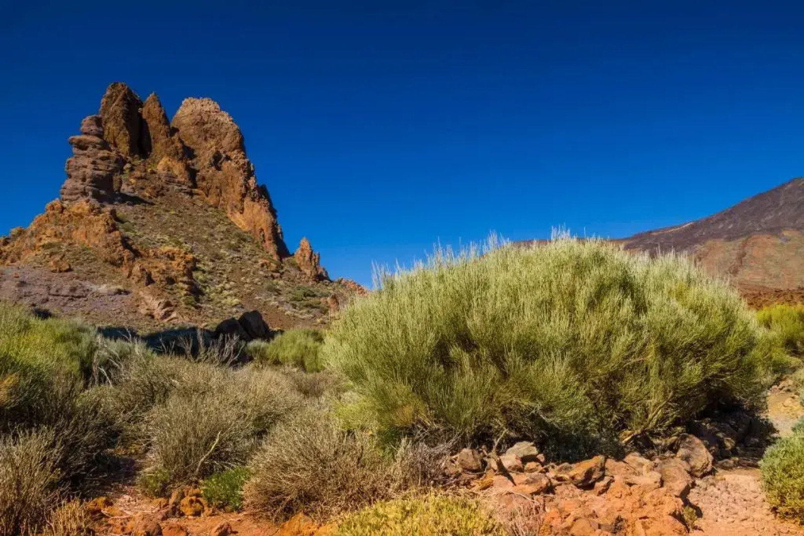 Casa Grande Surf Hostel