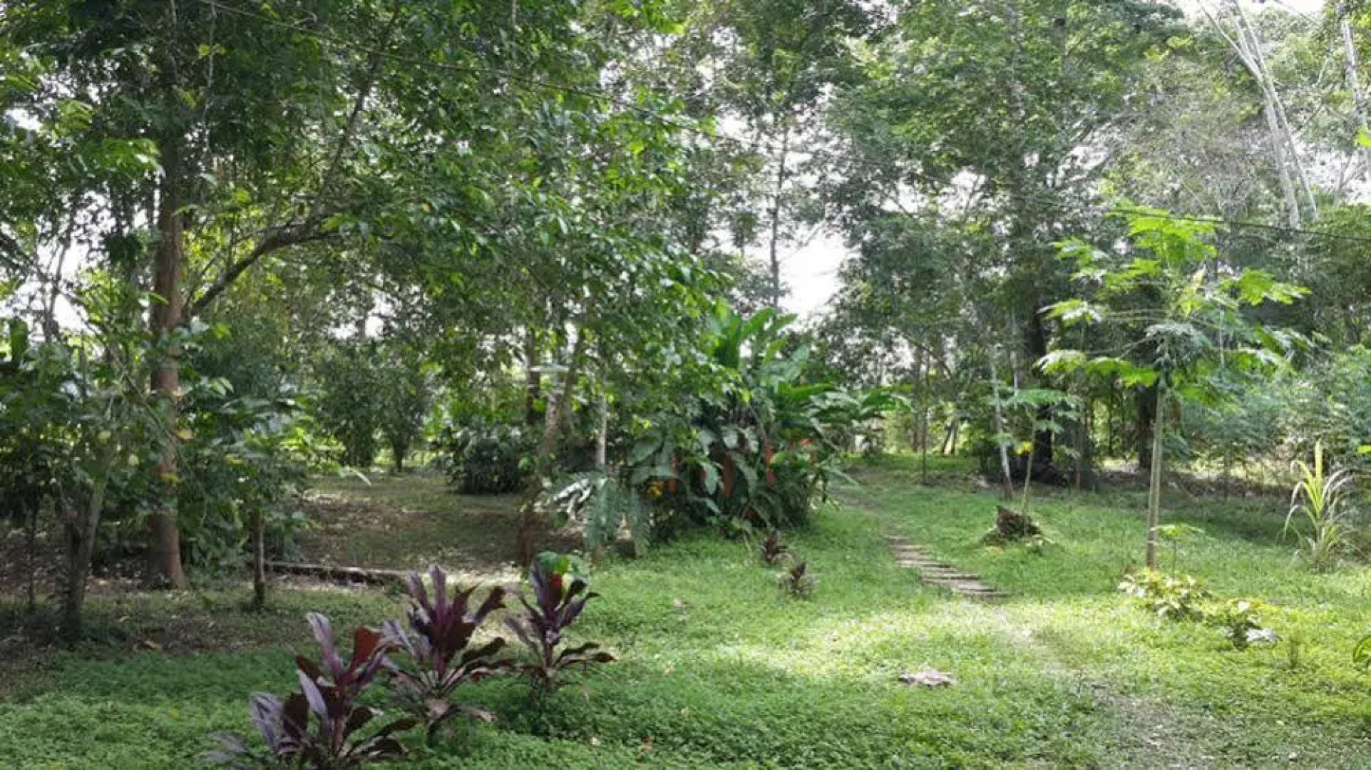 Caoba Lodge Tambopata