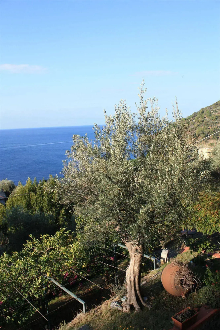Hotel Villa Belvedere