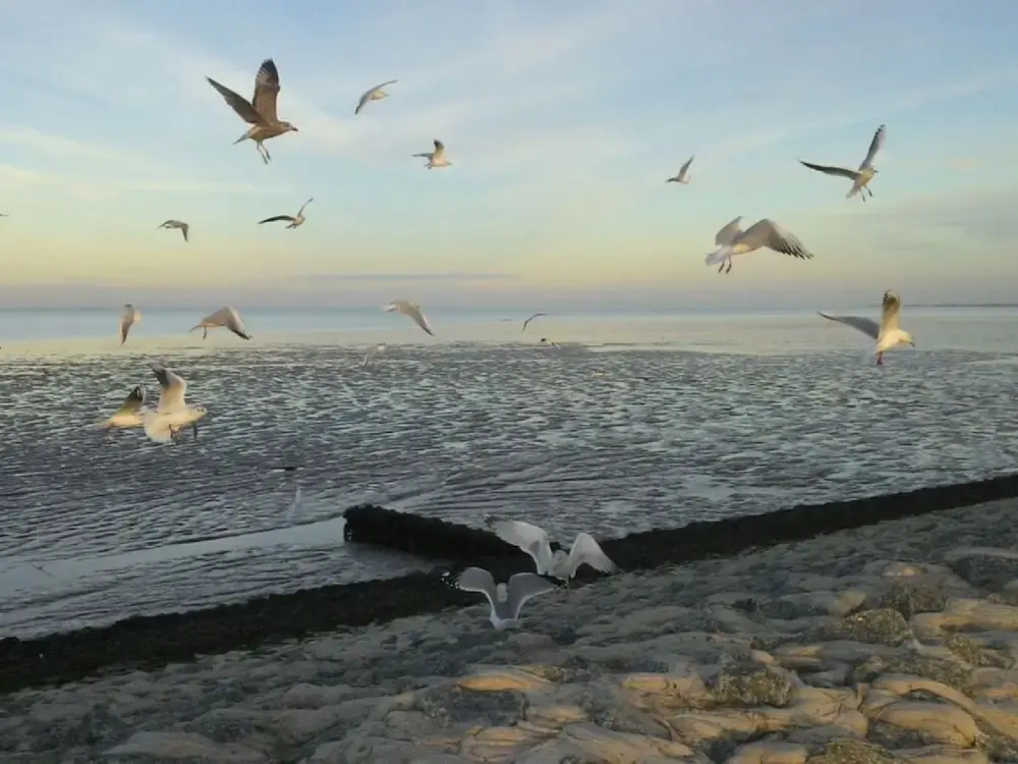 Dyke Space 50 m to the Beach sea