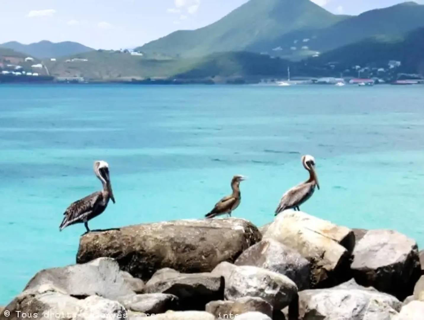Apartment With 2 Bedrooms In Saint Martin With Wonderful Sea View Shared Pool Furnished Terrace