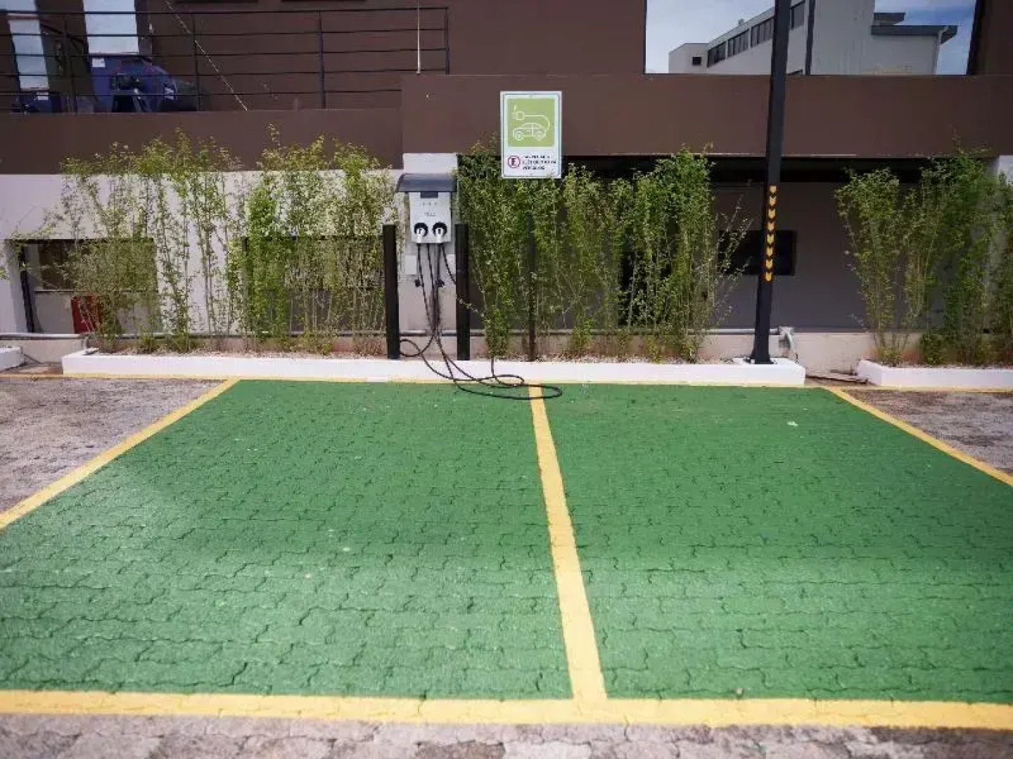 Ibis Tangara Da Serra