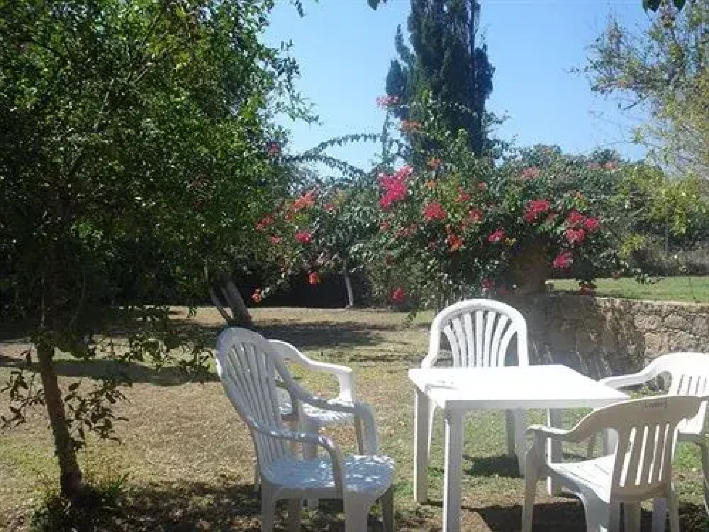 Roman II Hotel Pafos