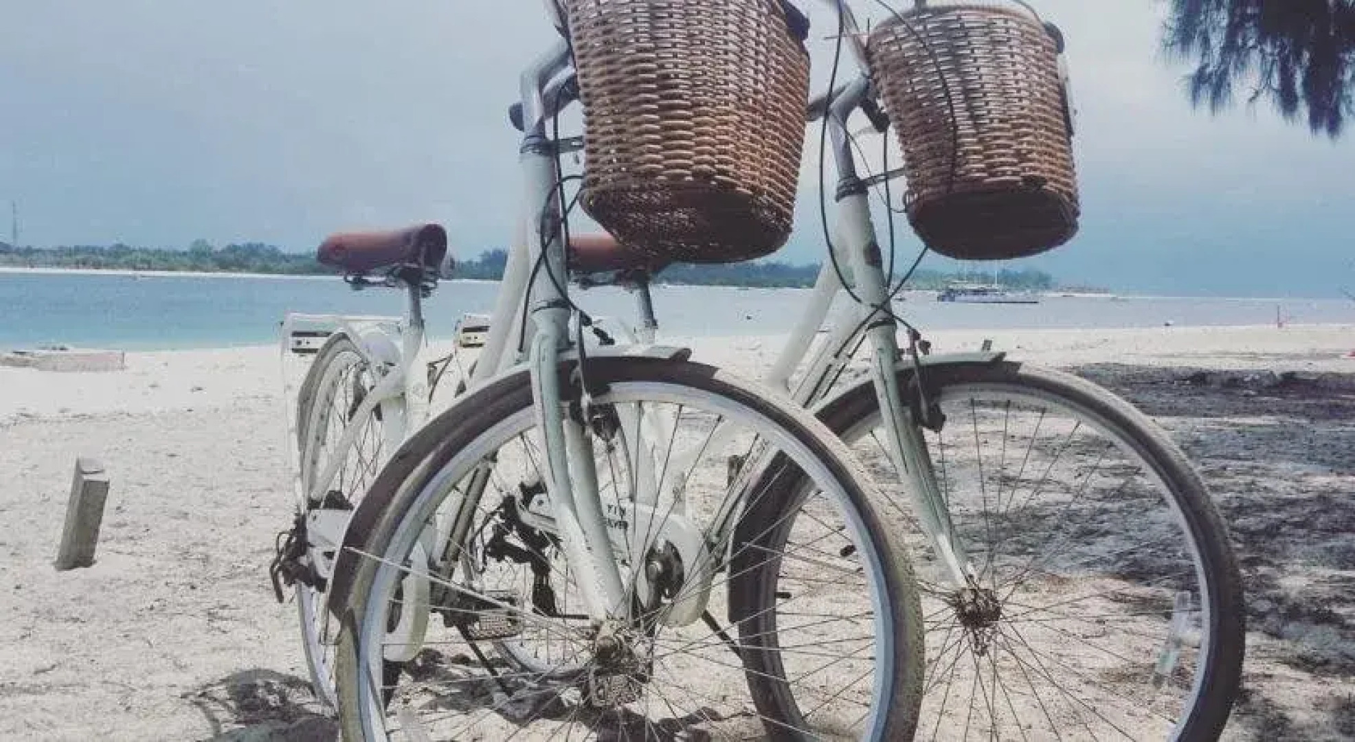 Little Elephant Cottage