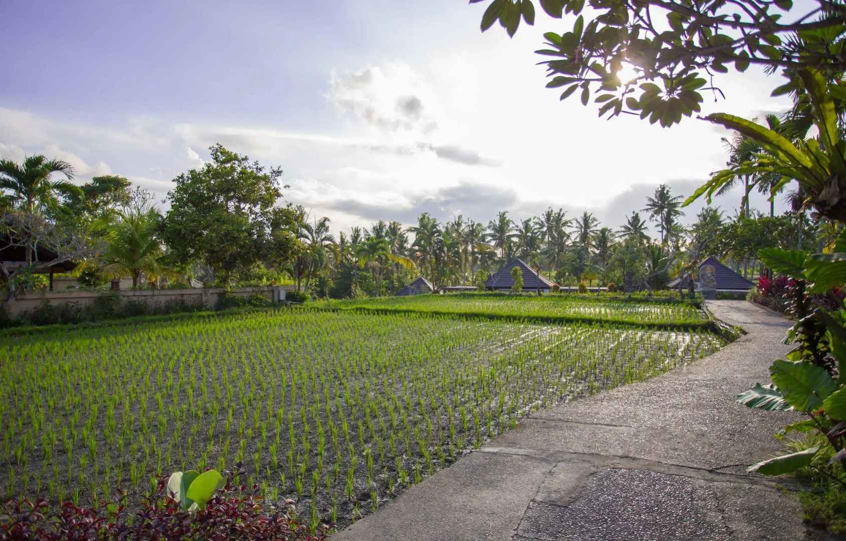 Курорт Agung Raka Resort and Villa