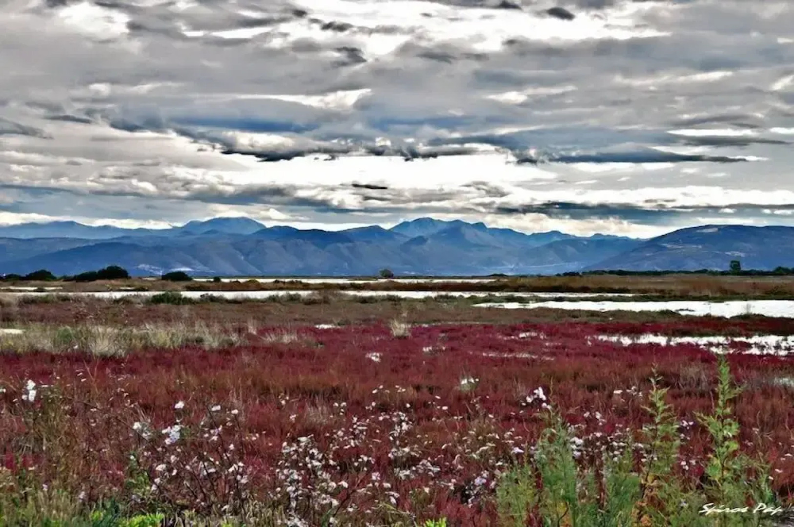 Victoria Suites Corfu