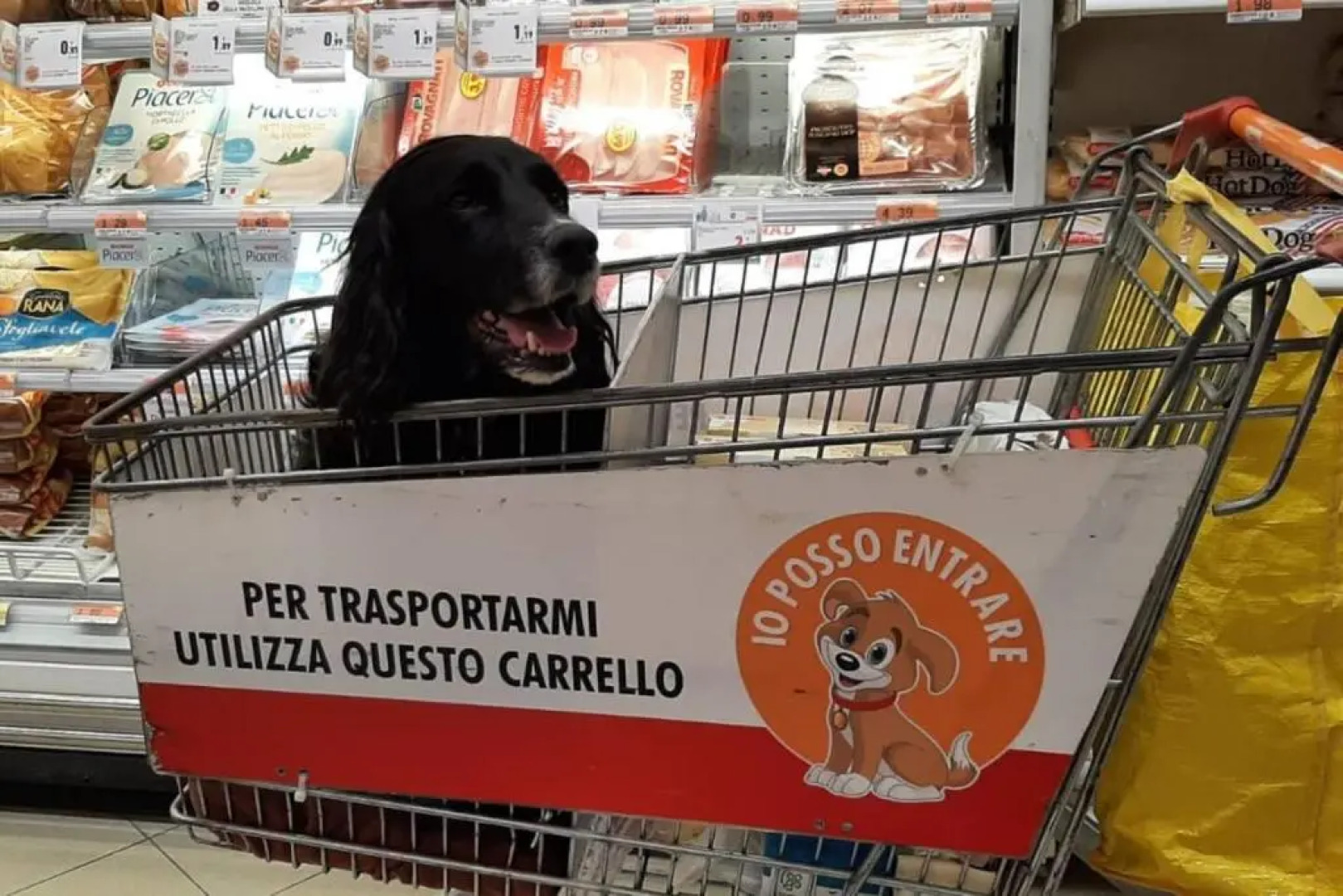 Beautiful 2-bed House in Longoio, Bagni Di Lucca