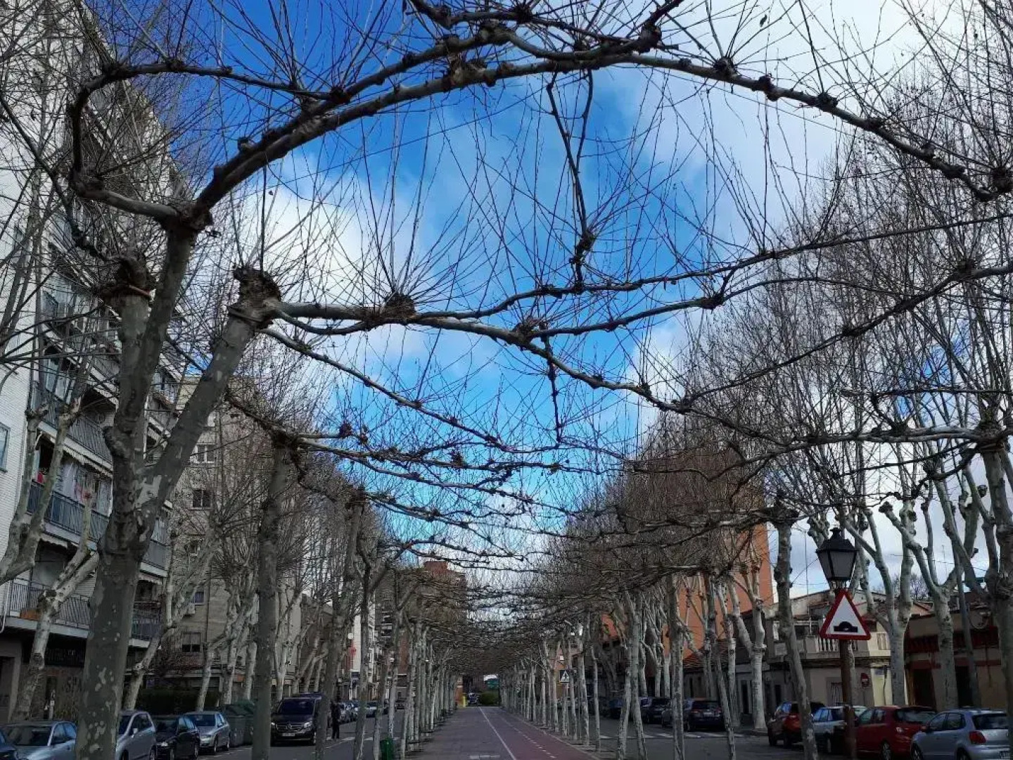 El Sueño del Quijote