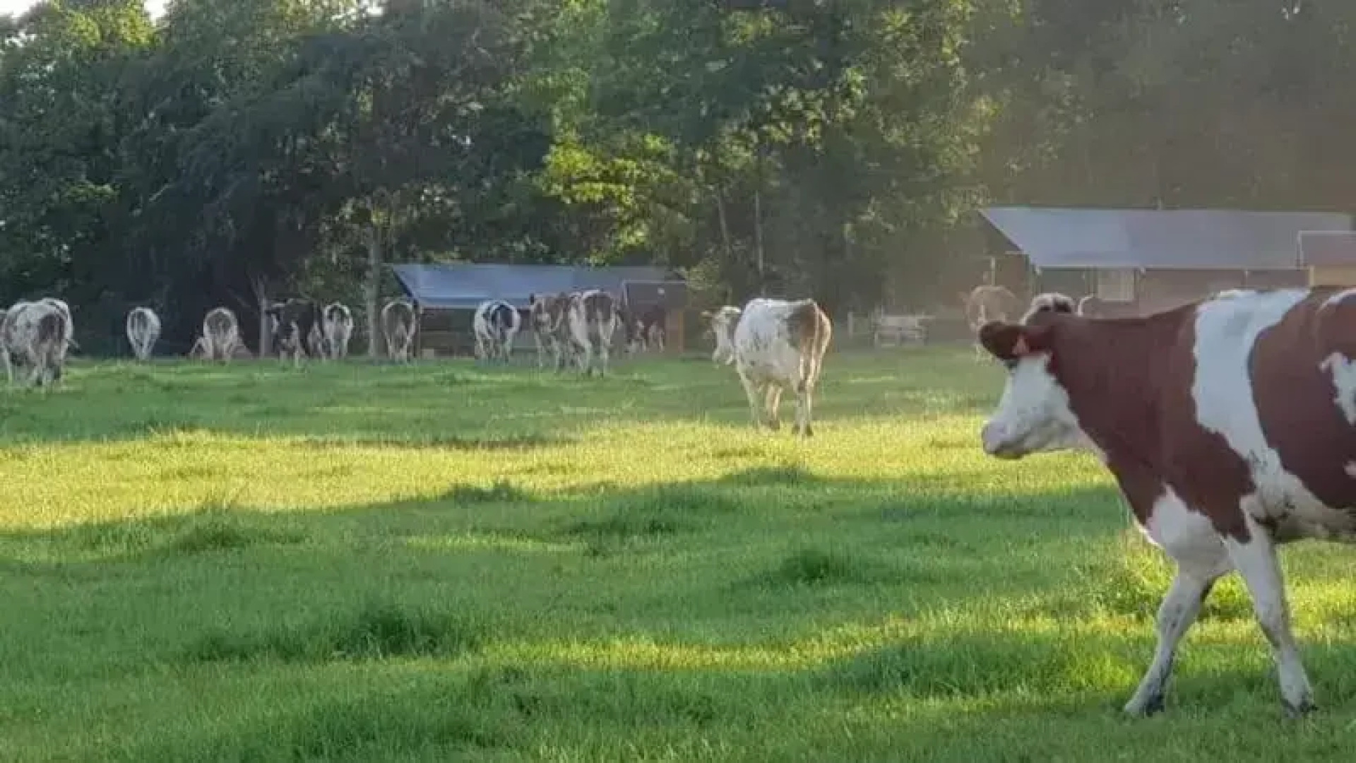 Glamping des 2 Marguerites