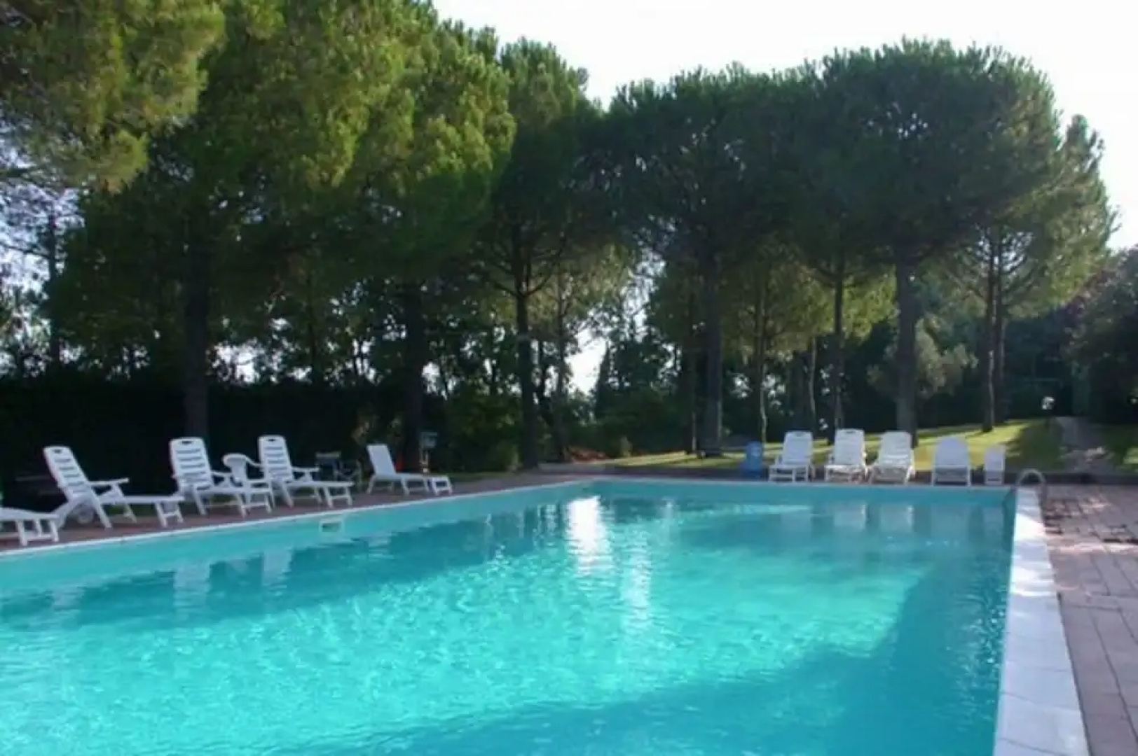 Sonia Suite