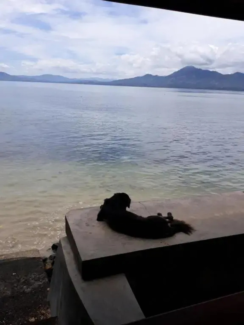 Bunaken Beach Resort