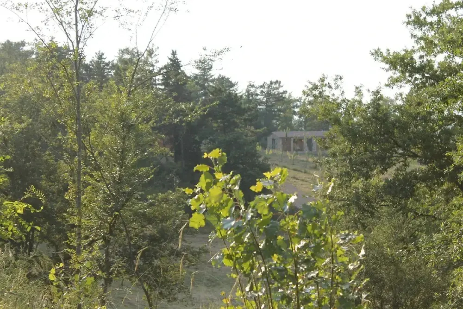Agricampeggio Madonna Di Pogi