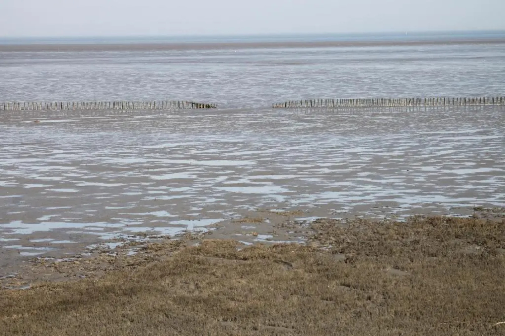 Hotel Schwarzer Adler