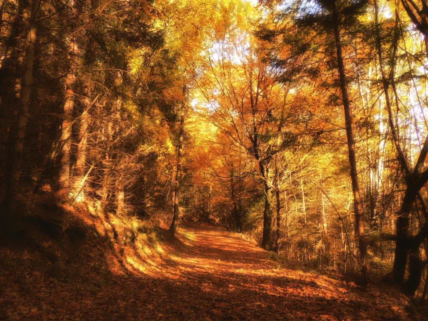 Hotel Berghof Brunner