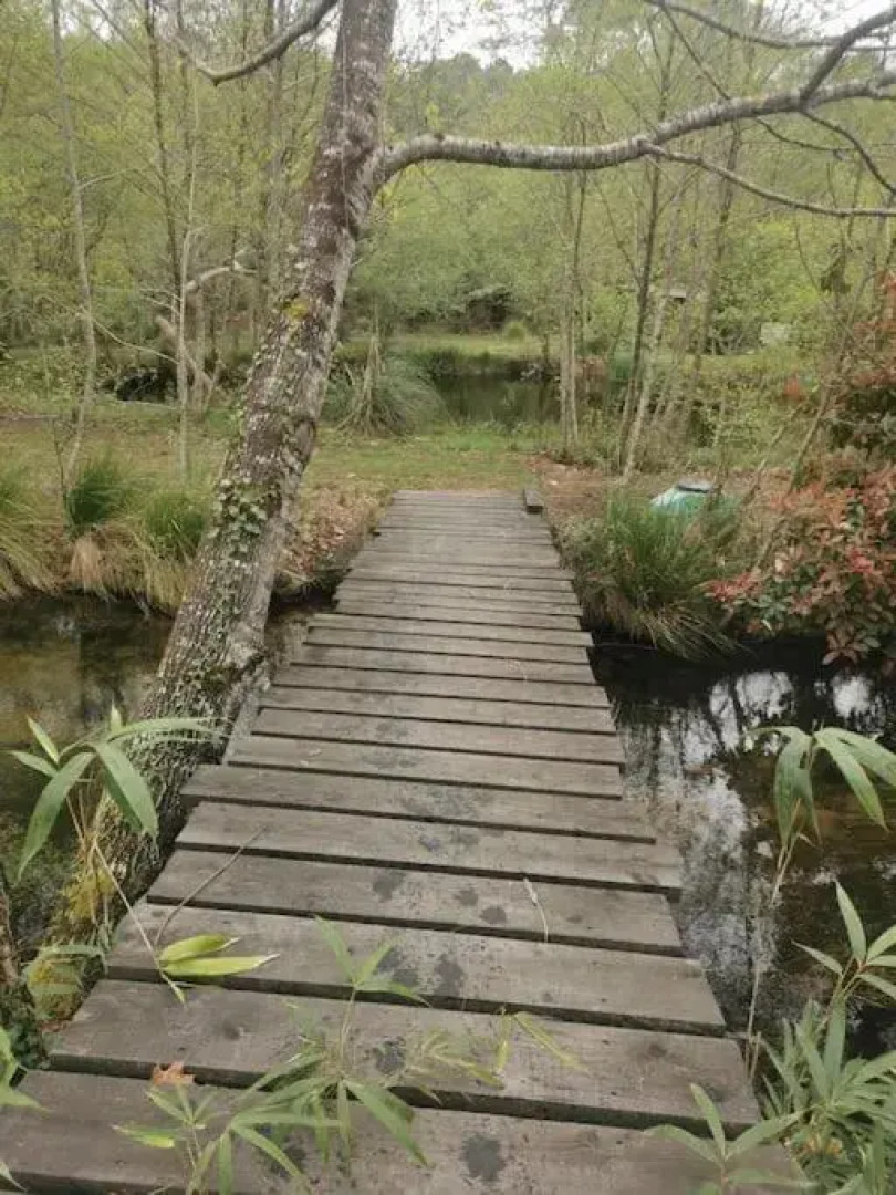 Maison bois au coeur de la nature. 2ha de terrain. Etangs