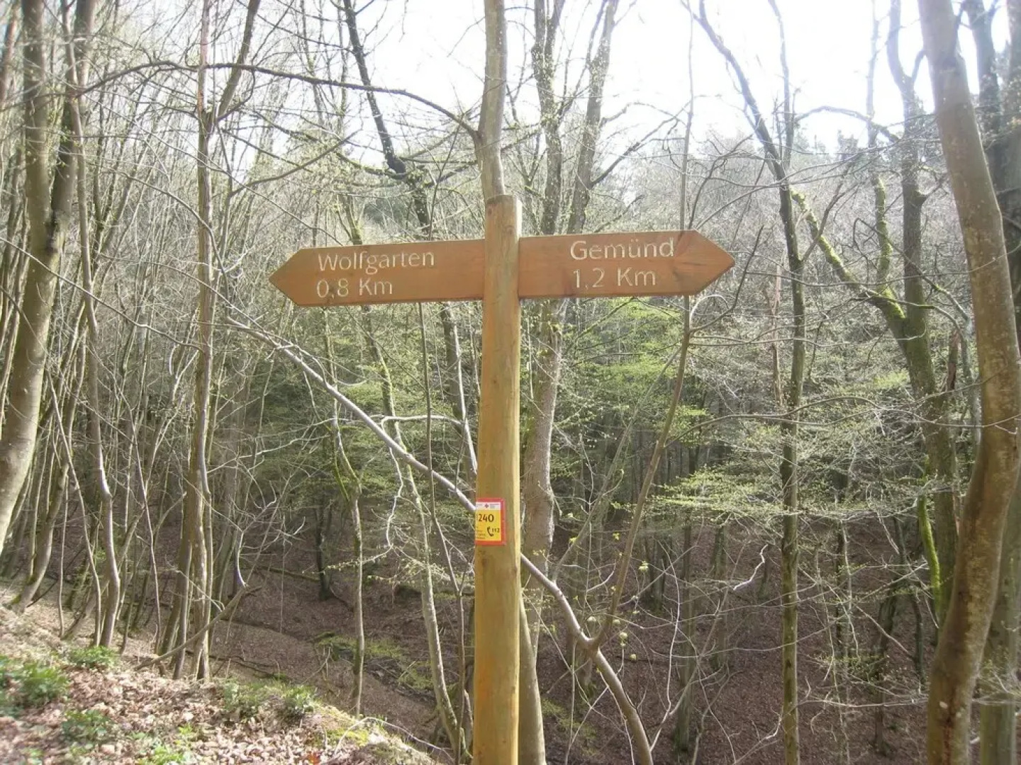 Welcoming Holiday Home in Schleiden near Forest