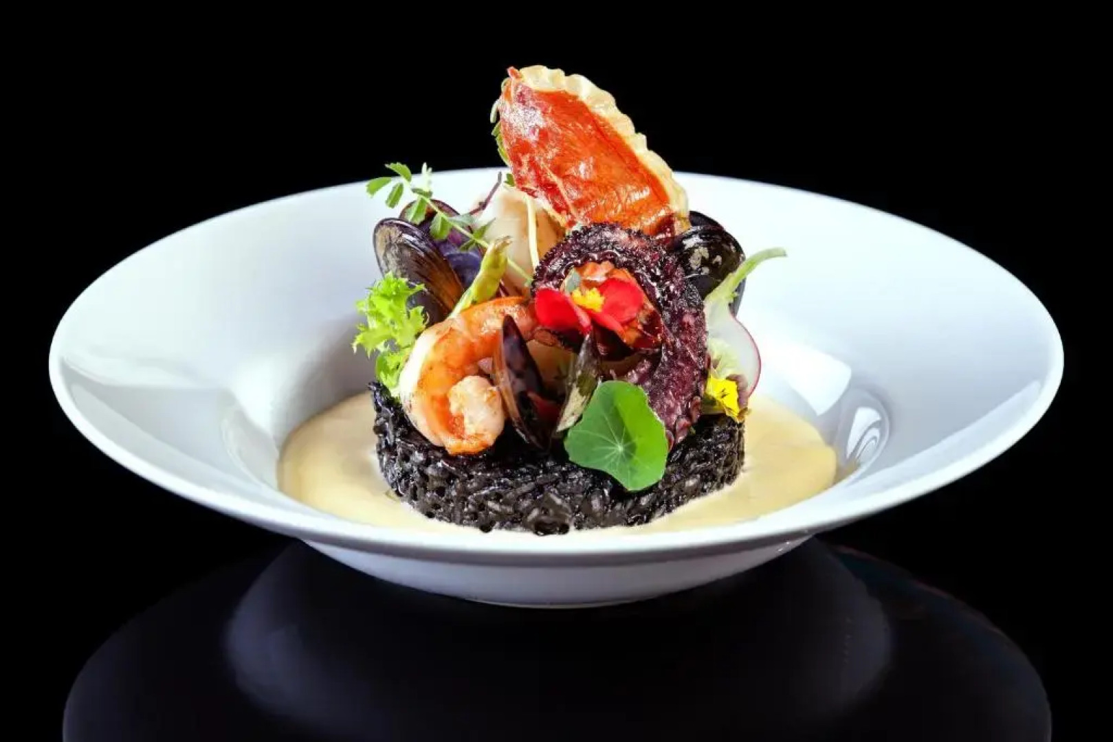 Premium Wellness Institute