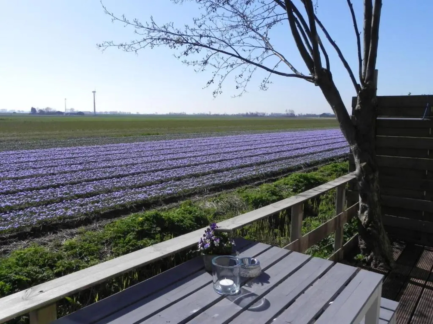 Appels en Peren Bed and Breakfast