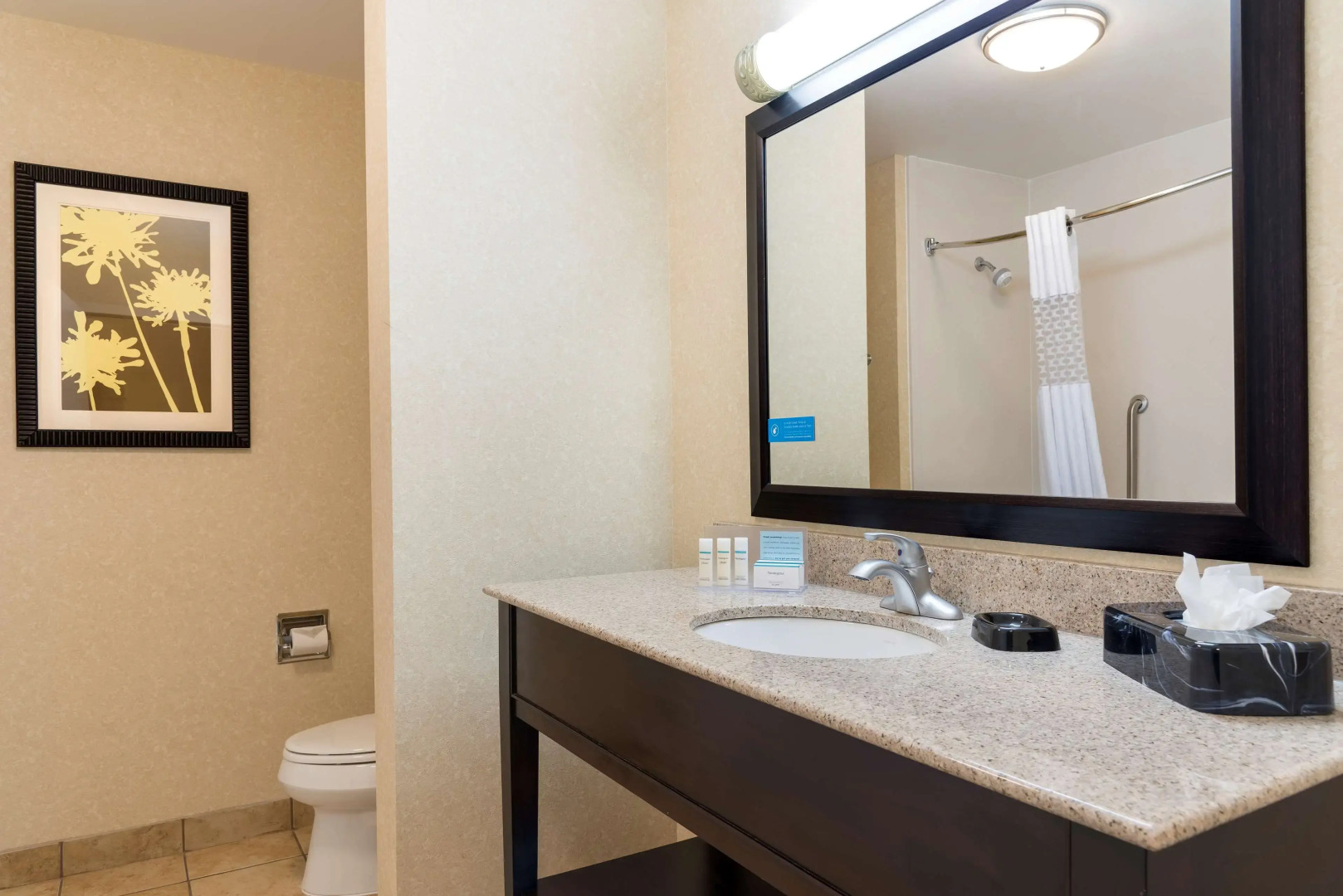 Hampton Inn Detroit/Roseville