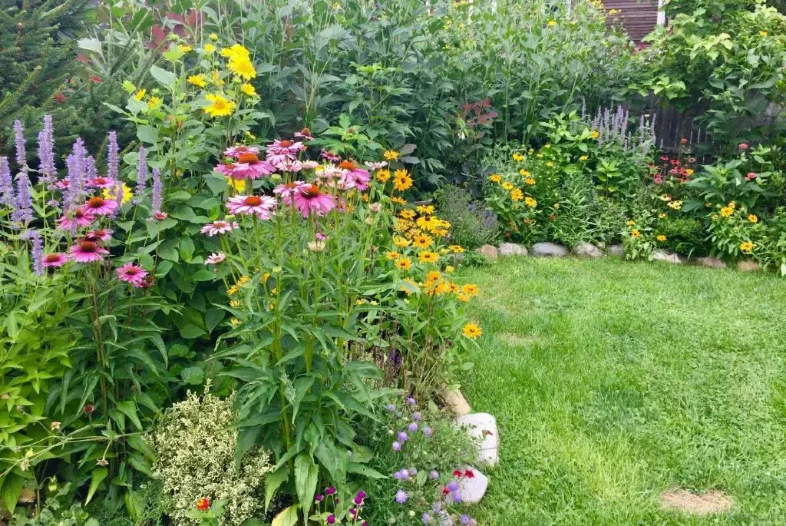 Charles and Charles MV